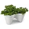 Горщик для квітів Keter 7,5 л. IVY Planter