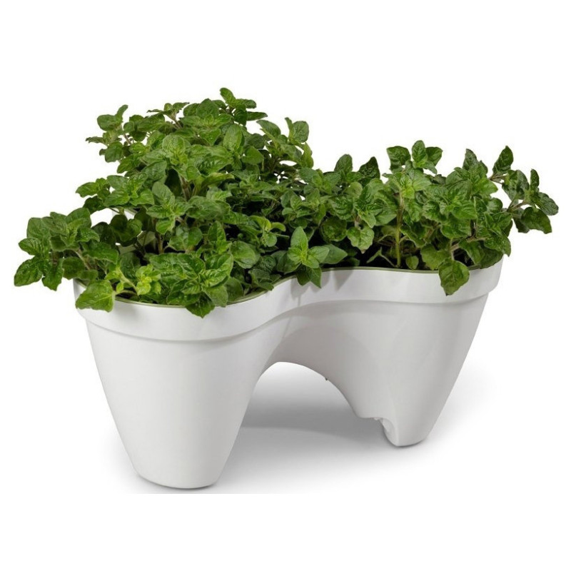 Горщик для квітів Keter 7,5 л. IVY Planter