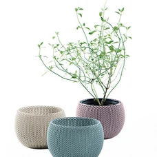 Набір горщиків для квітів Keter, 3 шт., Cozies Herb Pot