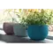 Набір горщиків для квітів Keter, 3 шт., Cozies Herb Pot