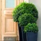 Горщик для рослин Keter Medium Rattan Planter сірий