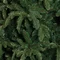 Ялина 2,30 м Abies Nordmann de Luxe зелена