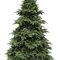 Ялина 2,30 м Abies Nordmann de Luxe зелена