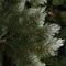 Гірлянда 1,8 м. Forest frosted зелена