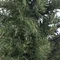 Сосна штучна Norton зелена 0,60 м, Black Box Trees