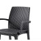 Стілець садовий пластиковий BICA Verona armchair, графіт