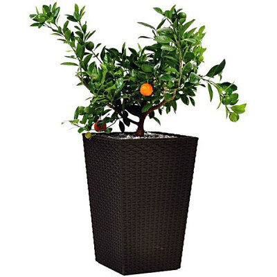 Горщик для квітів Keter Large Rattan Planter 145 л.