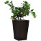 Горщик для квітів Keter Large Rattan Planter 145 л.