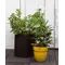 Горщик для квітів Keter 18 л. Cylinder Planter Medium, коричневий