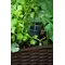 Грядка для рослин Keter Easy Grow, коричнева
