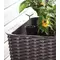 Грядка для рослин Keter Easy Grow, коричнева