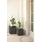 Горщик для рослин KETER CUBE PLANTER L, коричневий