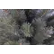 Сосна 45 см з інеєм, Forest Frosted