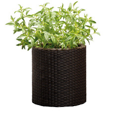 Горщик для квітів Keter 7 л. Cylinder Planter Small, коричневий