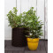Горщик для квітів Keter 7 л. Cylinder Planter Small, коричневий