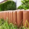 Палісад садовий Prosperplast Garden BORDER, теракотовий, 2,5 м