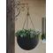 Горщик для рослин Keter Rattan hanging sphere з ланцюжками підвісний, темно-коричневий, 8,6 л Горщик для рослин Keter Rattan hanging sphere з ланцюжками підвісний, темно-коричневий, 8,6 л
