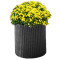 Горщик для квітів Keter Cylinder Planter Medium, 18 л, сірий