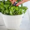 Горщик для квітів Keter Ivy Herbs 7,5 л. Горщик для квітів Keter Ivy Herbs 7,5 л.