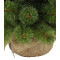 Сосна 90 см, Forest frosted