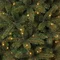 Сосна 90 см, Forest frosted