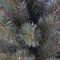 Сосна 90 см, Forest frosted