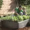 Грядка для рослин Keter Garden Bed, чорна Грядка для рослин Keter Garden Bed, чорна