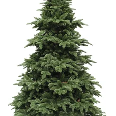 Ялина 2,15 м Abies Nordmann de Luxe зелена