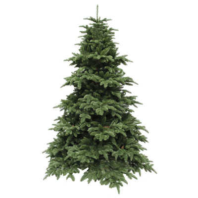 Ялина 2,15 м Abies Nordmann de Luxe зелена