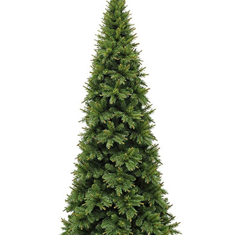 Ялинка 155 см, Edulis зелена