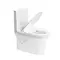 Унітаз-моноблок SY 1612 PAINT rim 71*39*77 білий ( А0058450 )