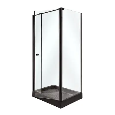 Душова кабіна INSANA Riccarda 100x80x210 мілкий піддон ( А0051348 )