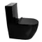 Унітаз-моноблок Ermin BG JL 65*36.5*79 black ( А0059573 )