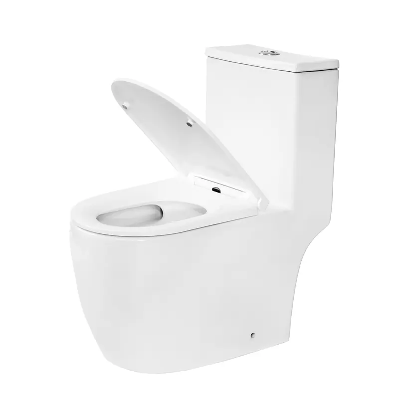 Унітаз-моноблок Typhoon Typhoon TRN-JL 70*38.5*74.5 білий ( А0059567 )